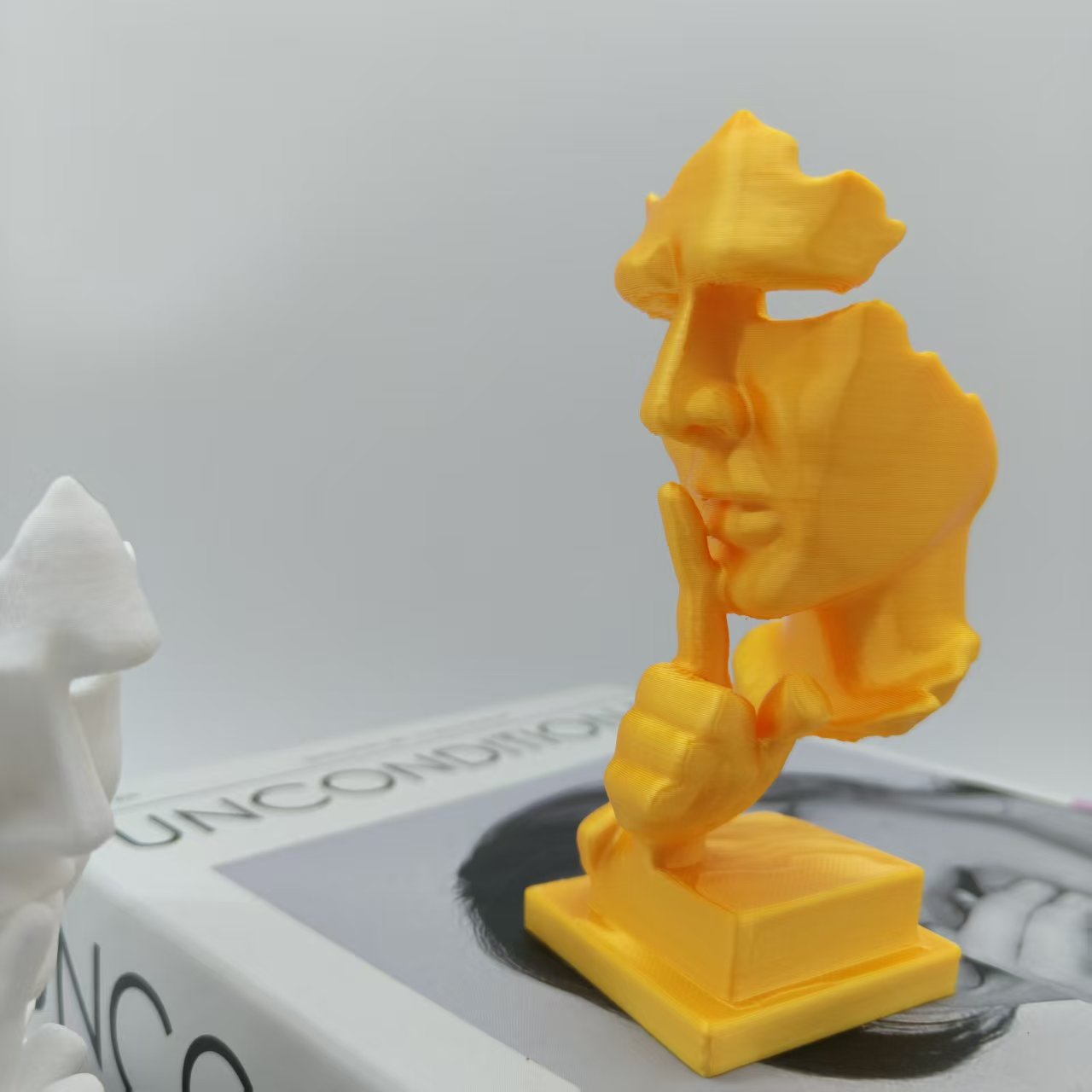 Denkerstandbeeld, Silence Is G - 3D Printing Household Items recensie en prijs