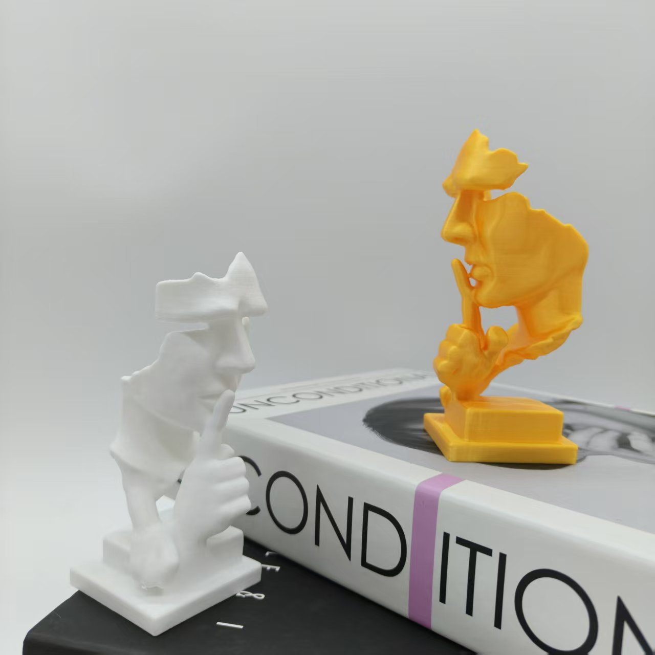 Denkerstandbeeld, Silence Is G - 3D Printing Household Items recensie en prijs